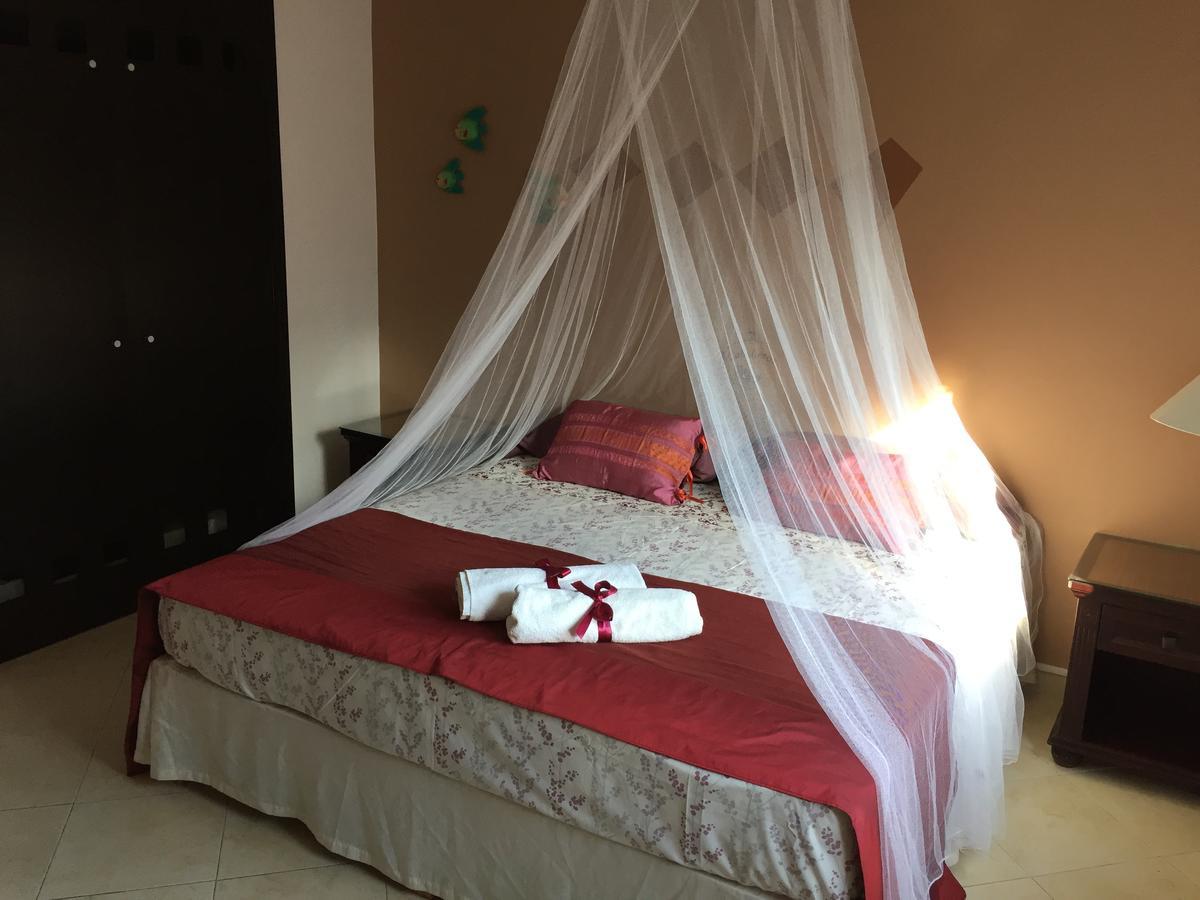 신데 델 카르멘 Esquina De La Felicidad De Playacar B&B 외부 사진
